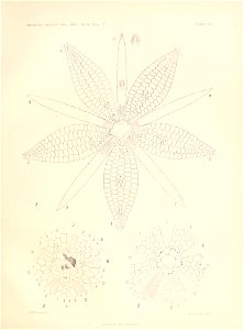 n168_w1150