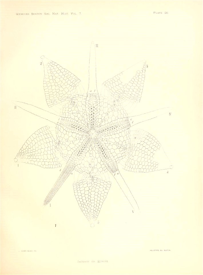 n108_w1150