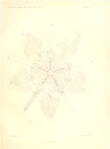 n108_w1150