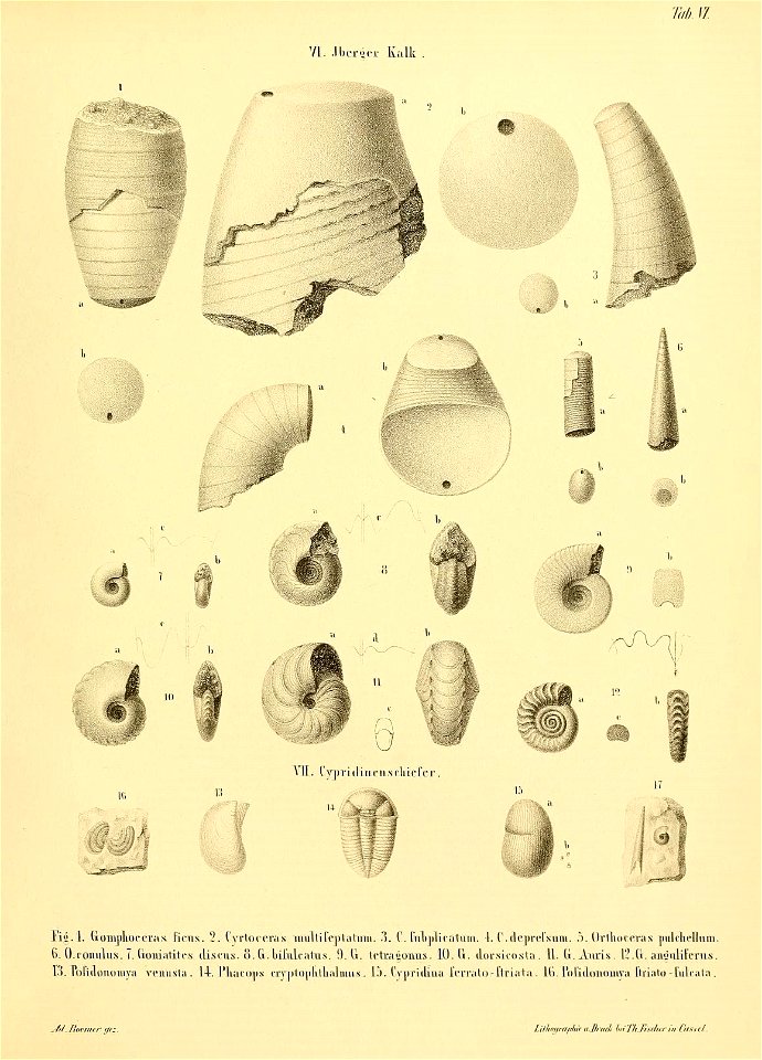 n18_w1150