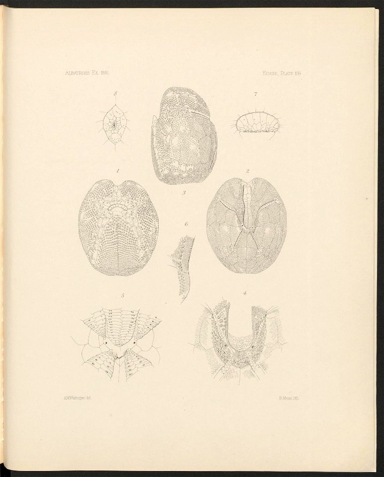n454_w1150