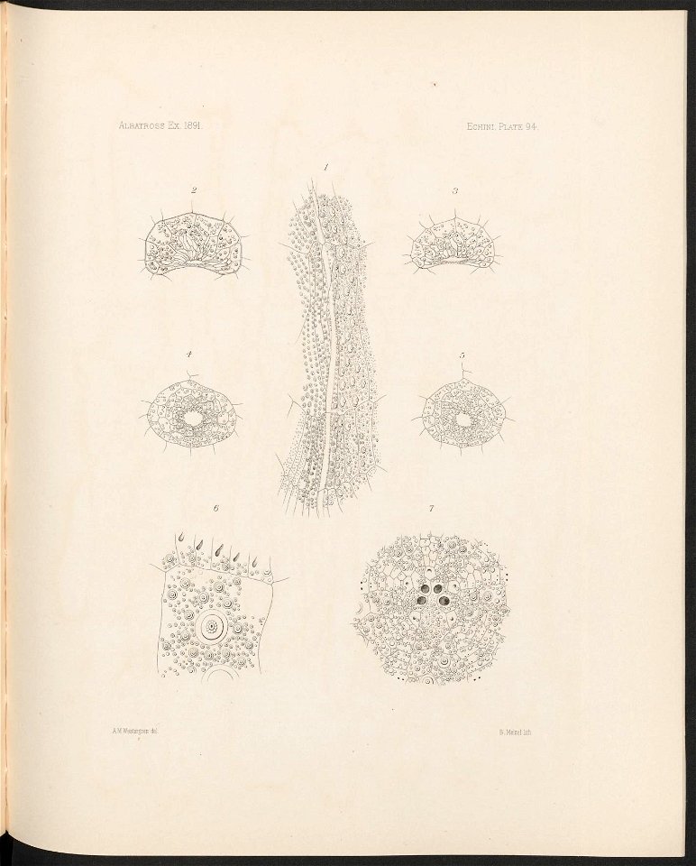 n394_w1150