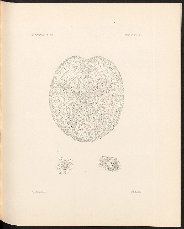 n390_w1150