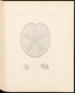 n390_w1150