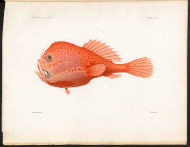 n367_w1150