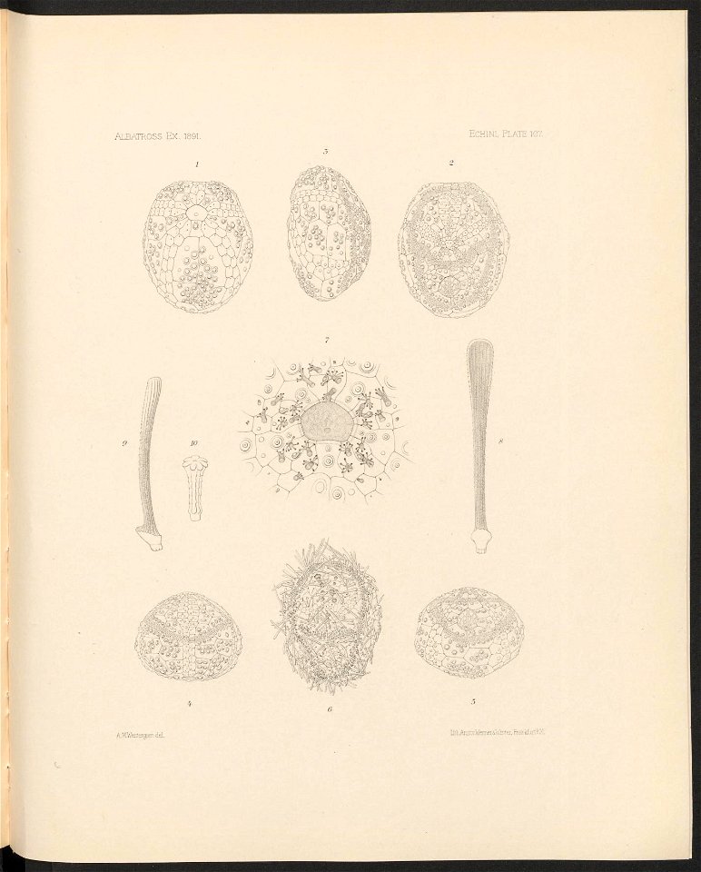 n446_w1150