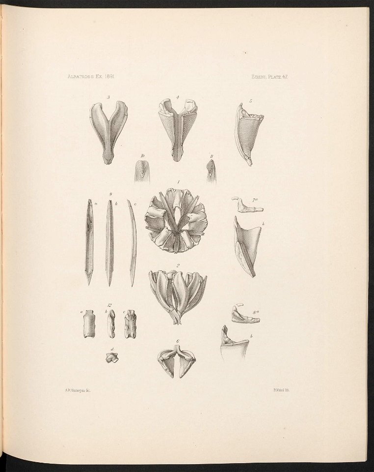 n206_w1150