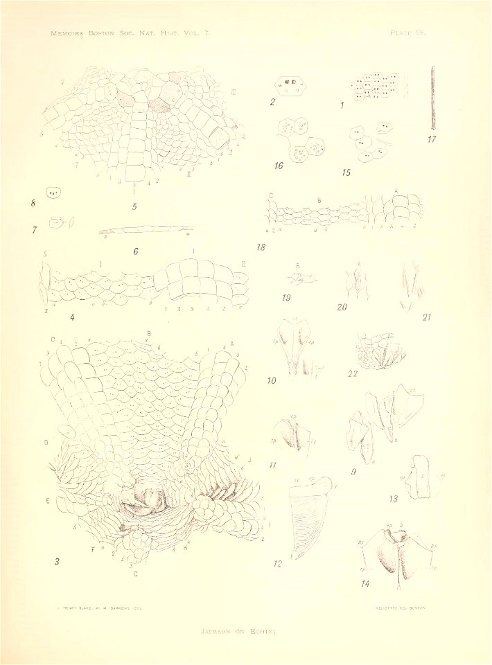 n276_w1150