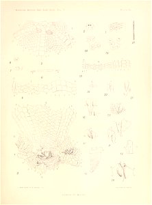 n276_w1150