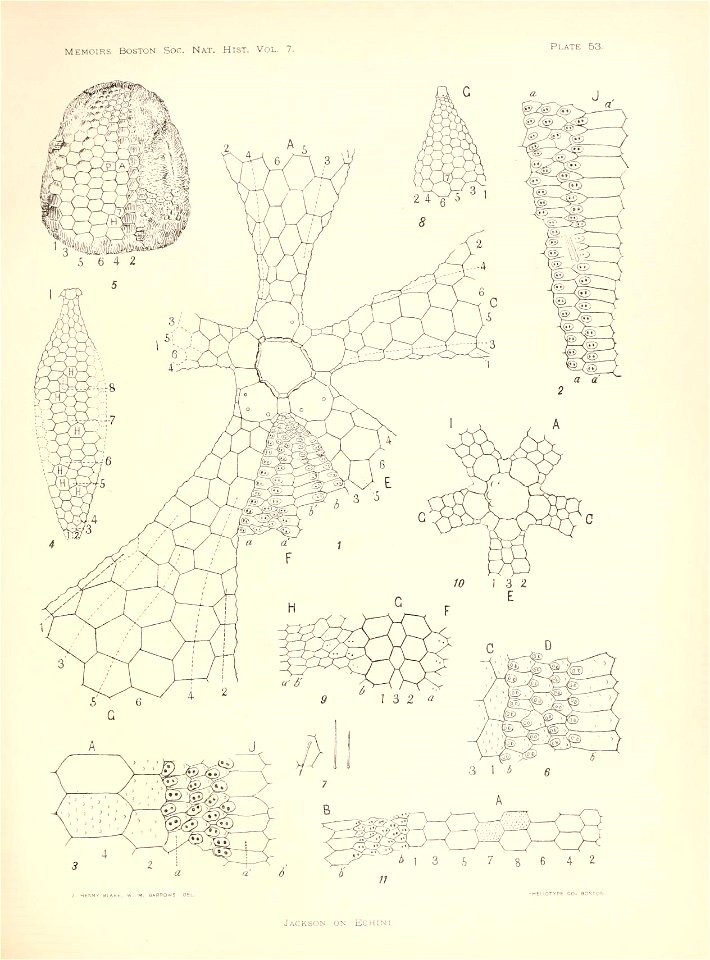 n216_w1150