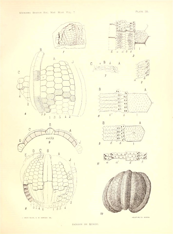n156_w1150