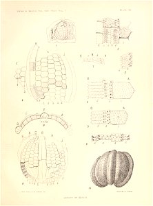 n156_w1150