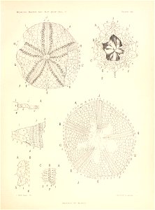 n96_w1150