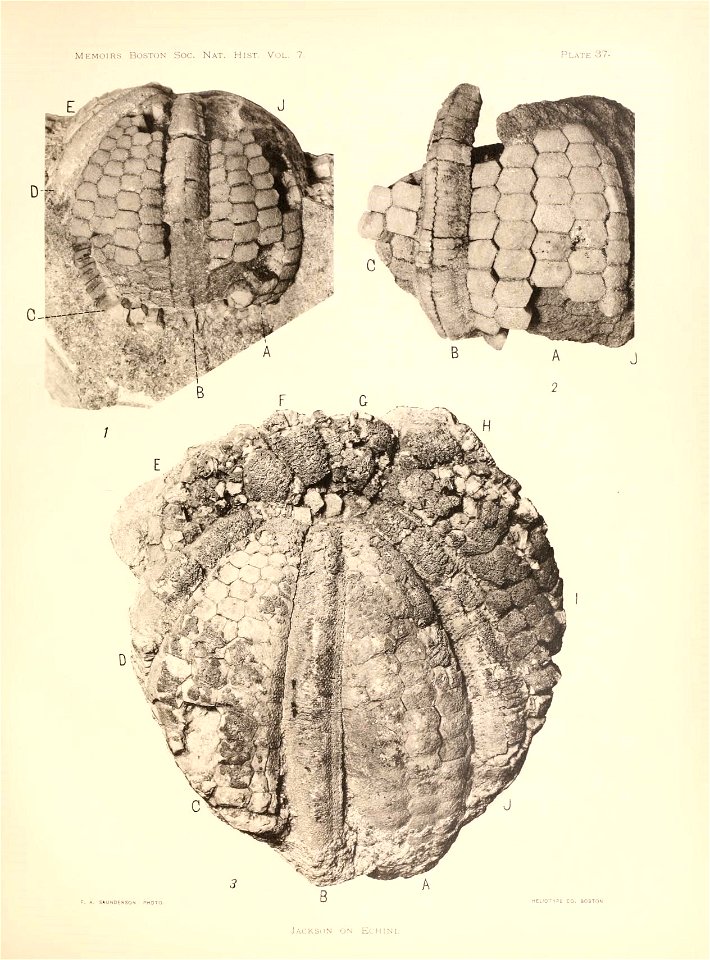 n152_w1150