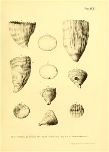 n40_w1150