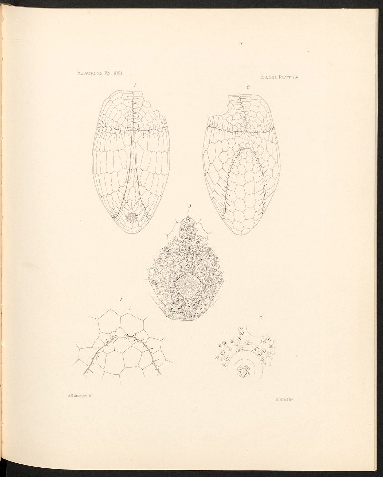 n290_w1150