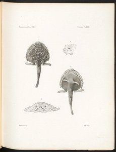 n85_w1150