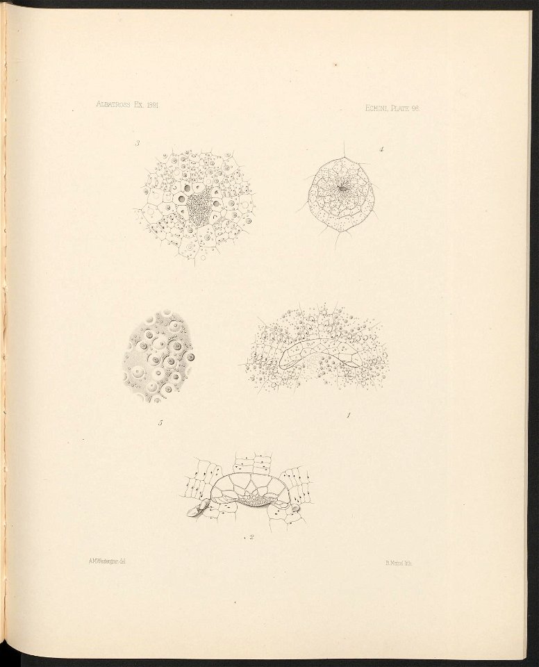 n402_w1150