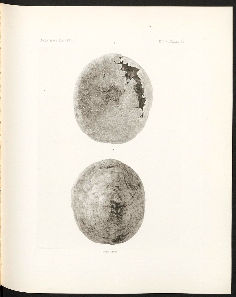 n342_w1150