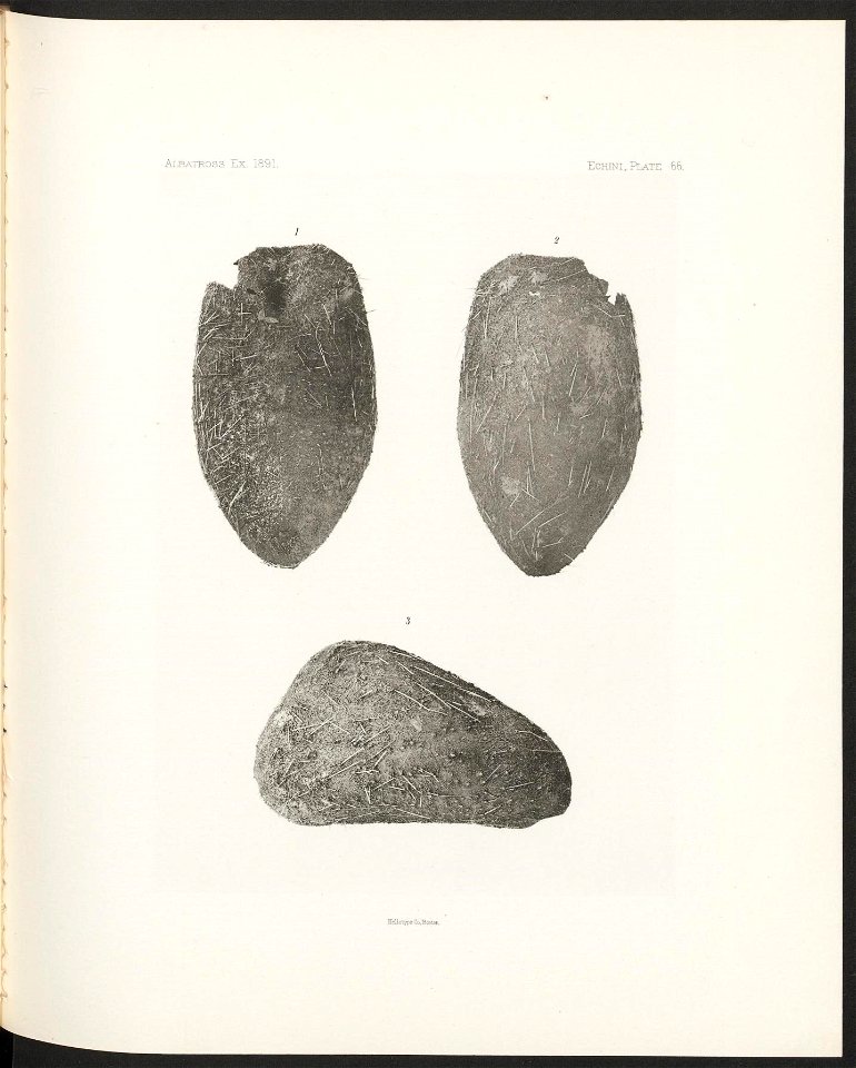 n282_w1150