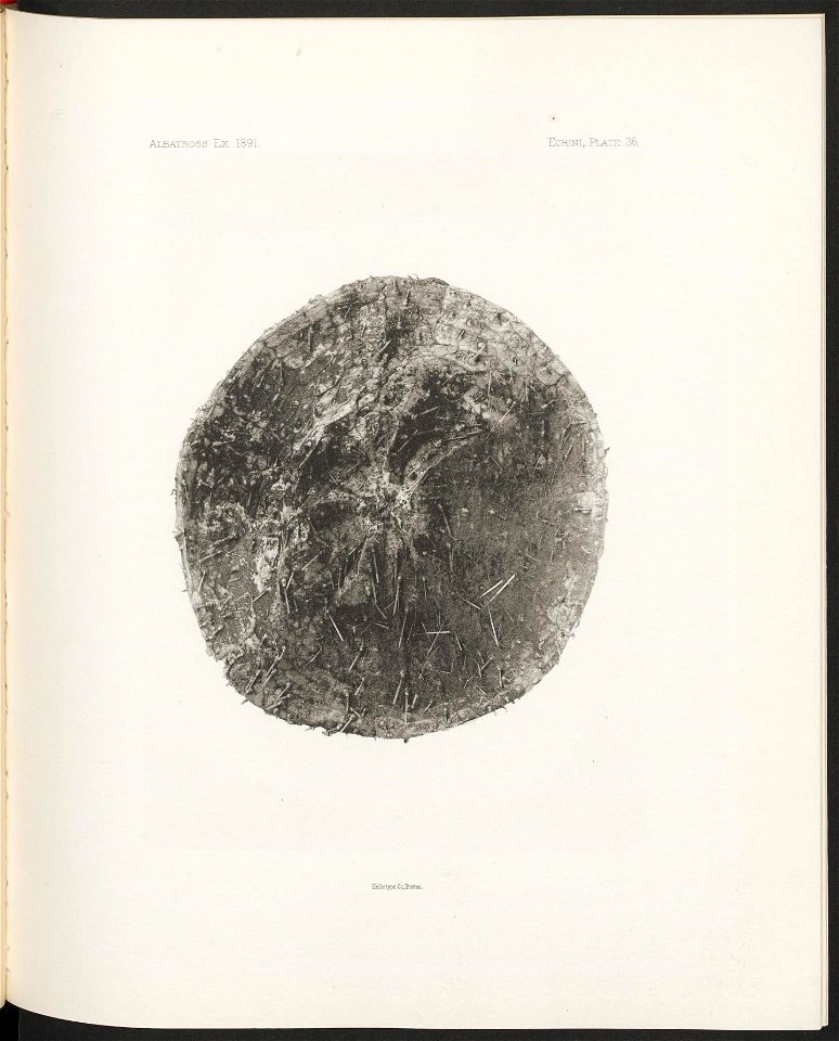n162_w1150