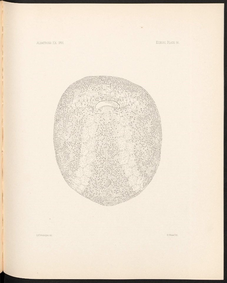 n398_w1150