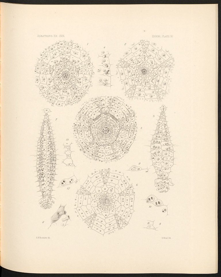 n222_w1150