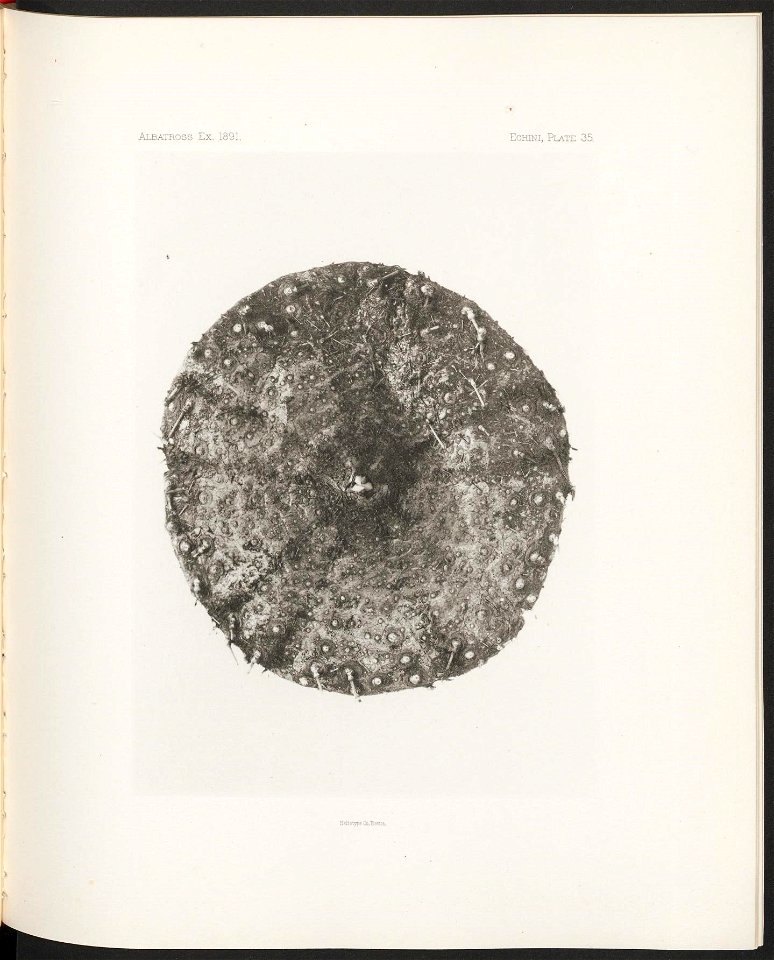 n158_w1150