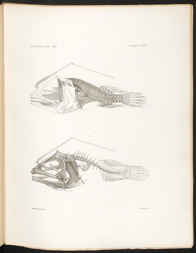 n69_w1150