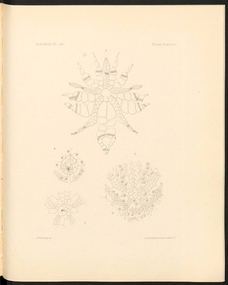 n442_w1150