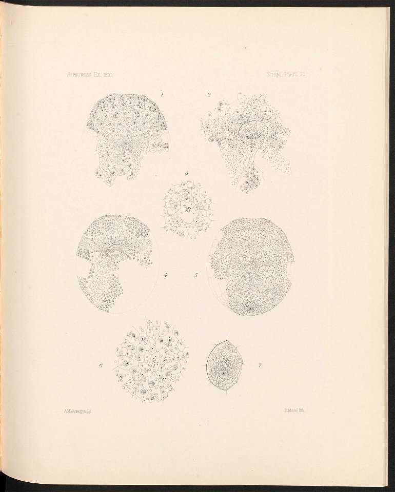 n382_w1150