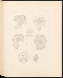 n382_w1150