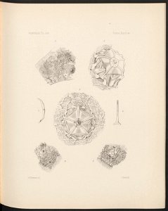 n202_w1150