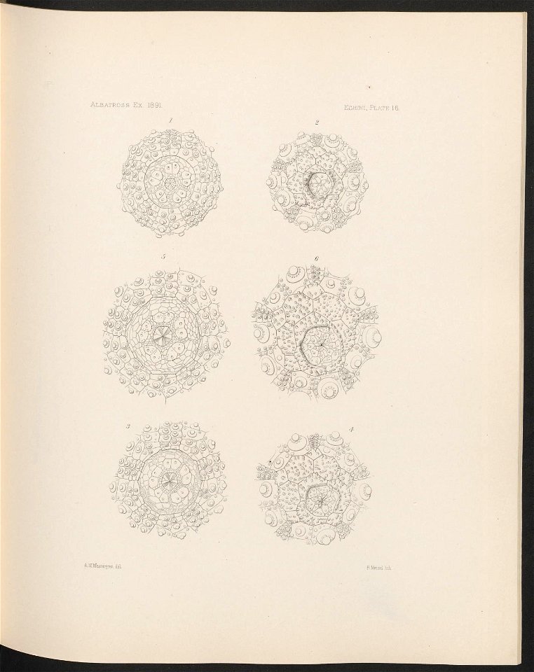 n82_w1150