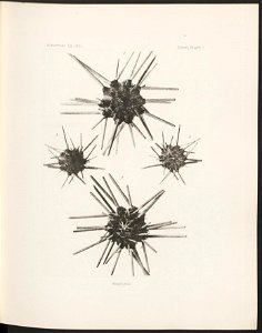 n22_w1150