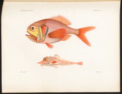 n359_w1150