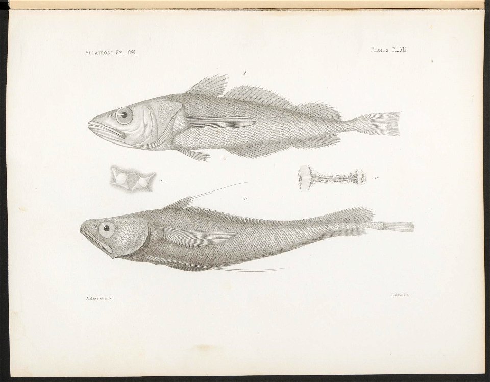n179_w1150