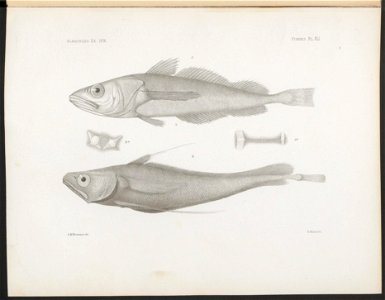 n179_w1150