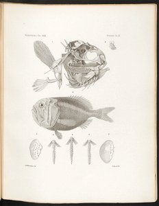 n57_w1150