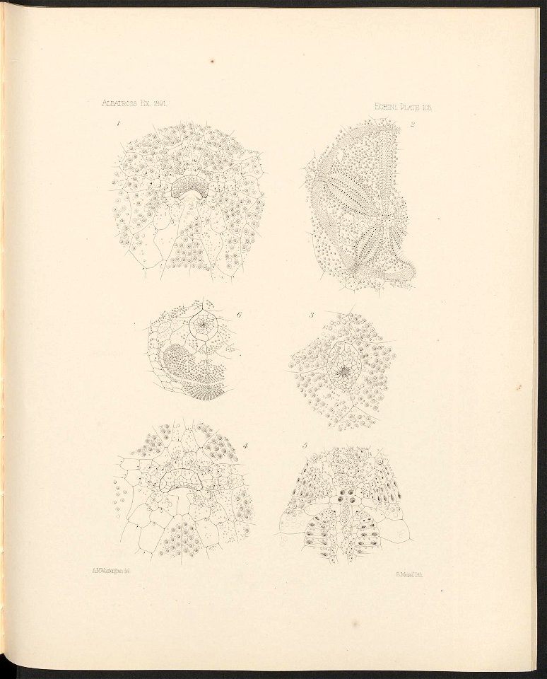 n438_w1150