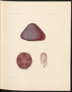 n18_w1150