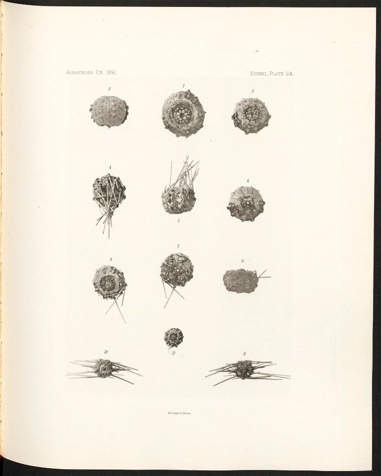 n114_w1150