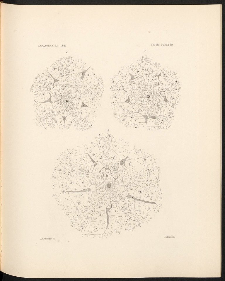 n174_w1150