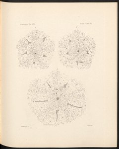 n174_w1150