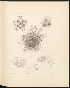 n234_w1150