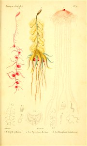 n656_w1150