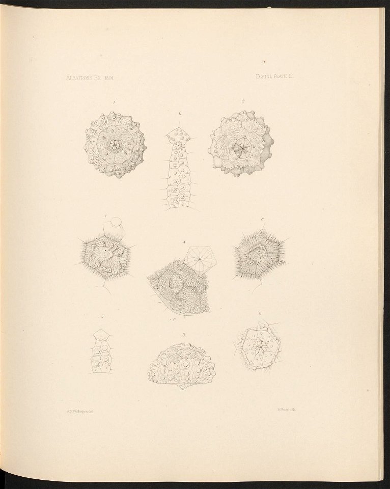 n102_w1150