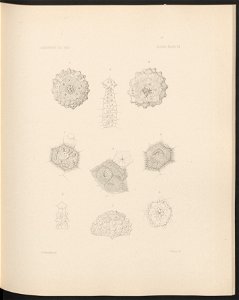 n102_w1150