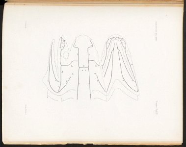 n296_w1150