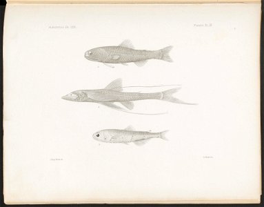 n235_w1150